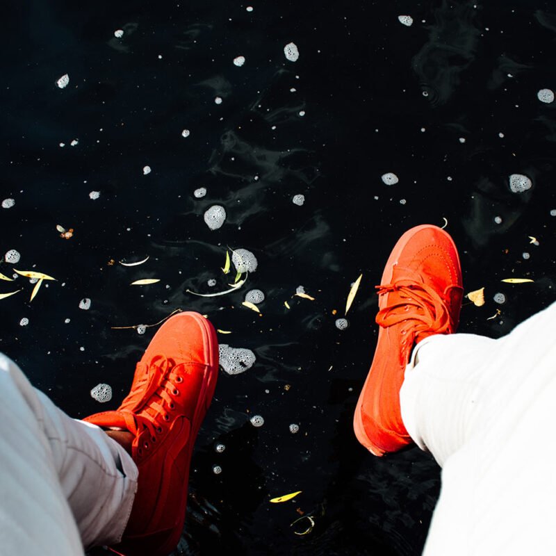 shawn mckay 119094 unsplash